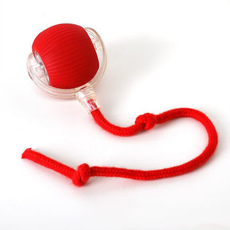 JagdBall™ – Interaktiver Automatischer Spielball für Hunde & Katzen