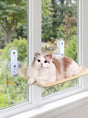 FensterNest