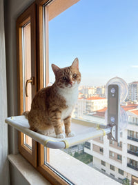 FensterNest