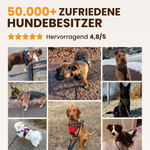 Anti-Zieh-Geschirr mit Brustring