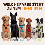 Anti-Zieh-Geschirr mit Brustring