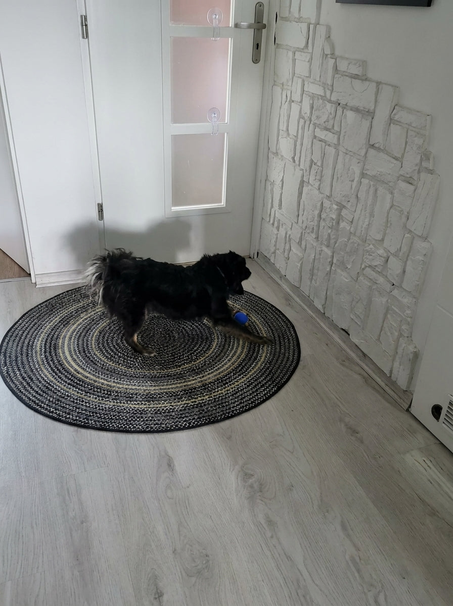 Hund spielt mit JagdBall