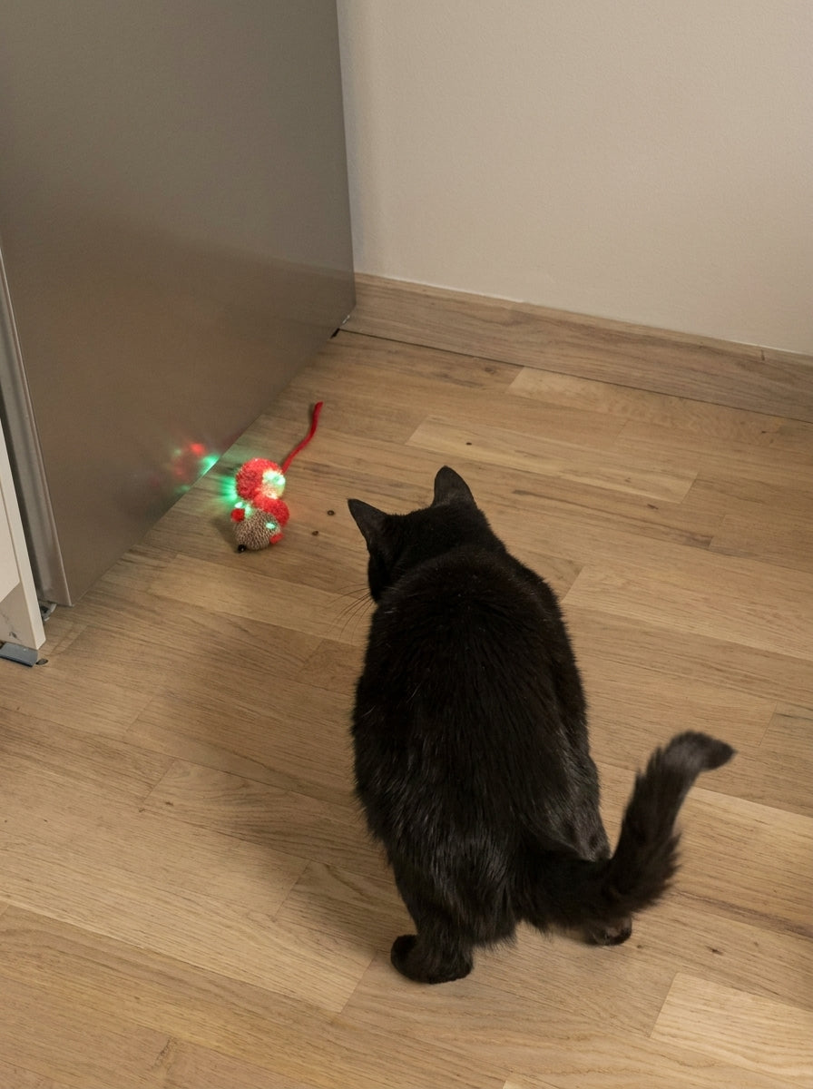 Katze mit LED Ball