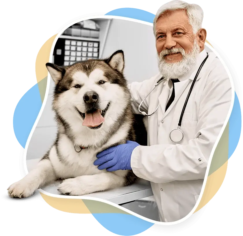 Dr. Peter Bernstein — Tierarzt